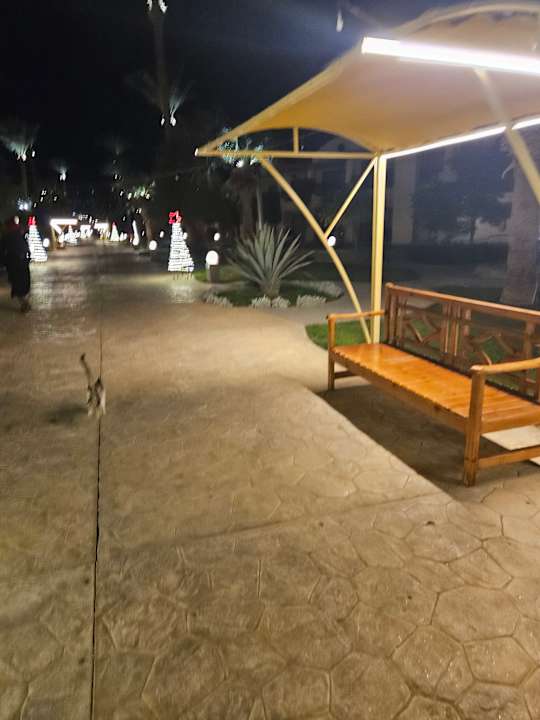 Gartenanlage Aladdin Beach Resort