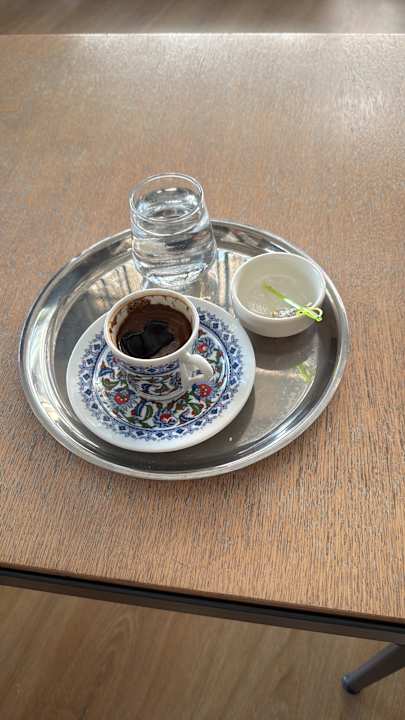 Gastro Seashell Vega