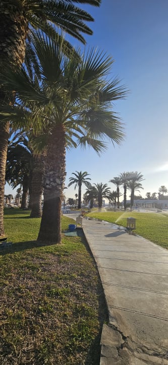 Gartenanlage Hotel JAZ Tour Khalef