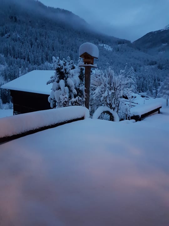 Ausblick Pension Fürhapter Bio- Bauernhof