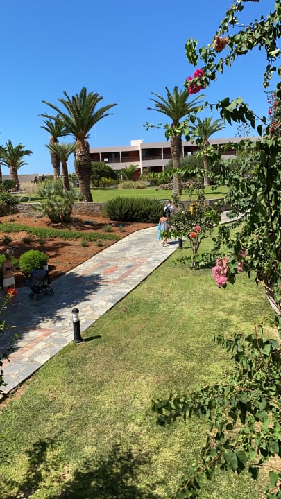 Gartenanlage allsun Hotel Malia Beach