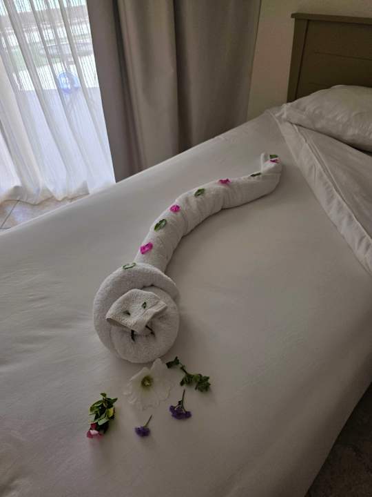 Zimmer Casa Mare Resort