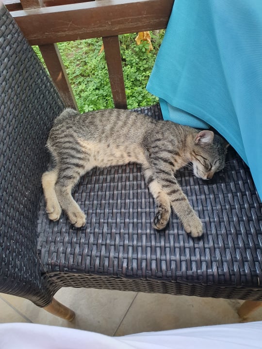 Gartenanlage Sunis Evren Beach Resort Hotel & Spa