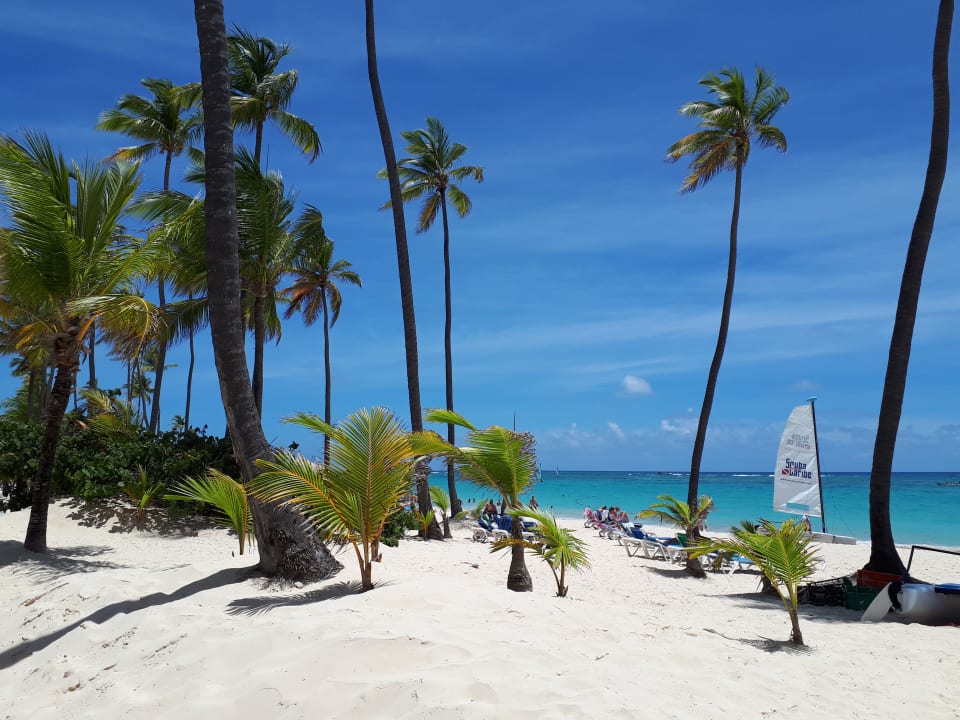 Strand Hotel Riu Palace Punta Cana