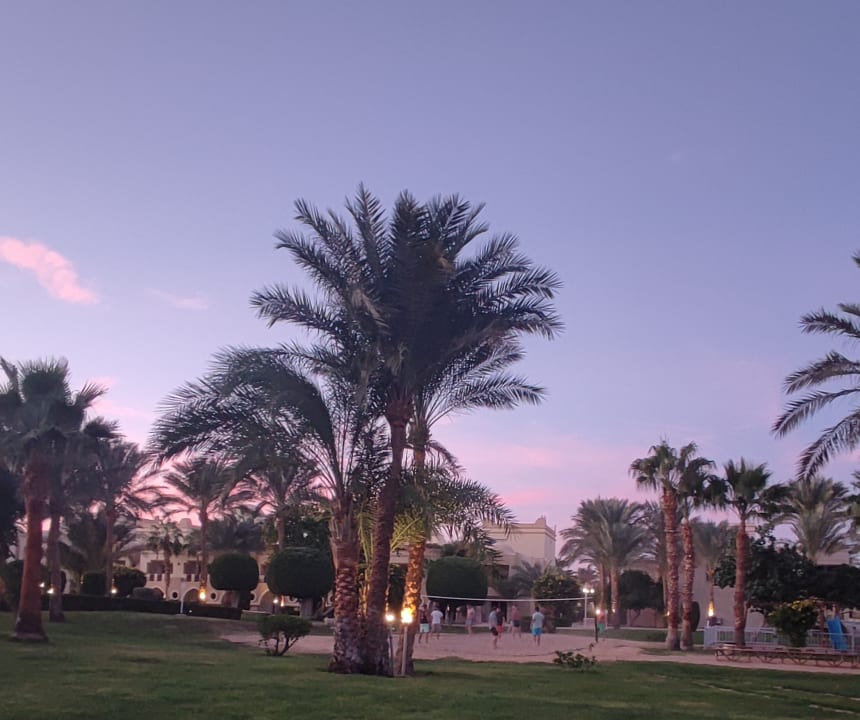 Sport & Freizeit Serenity Alpha Beach