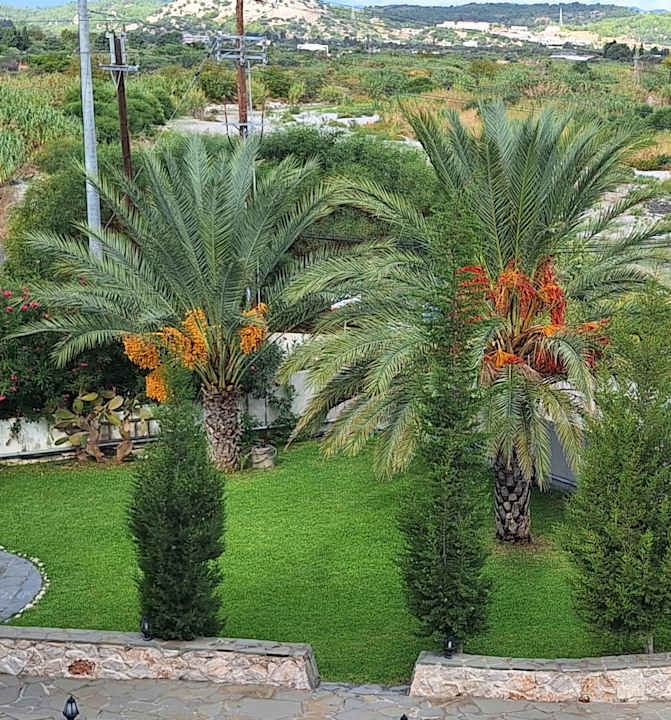 Gartenanlage Myrina Beach Hotel