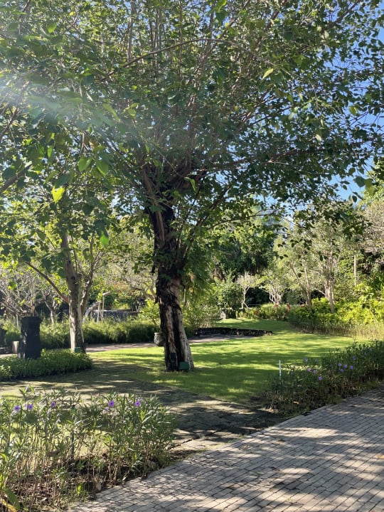 Gartenanlage Hyatt Regency Bali