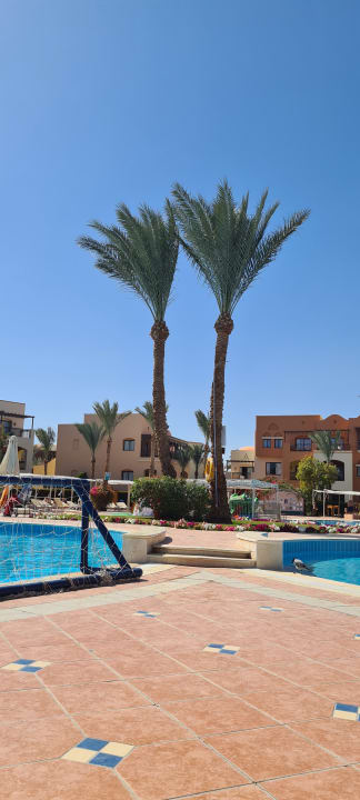 Pool Jaz Makadi Saraya Resort