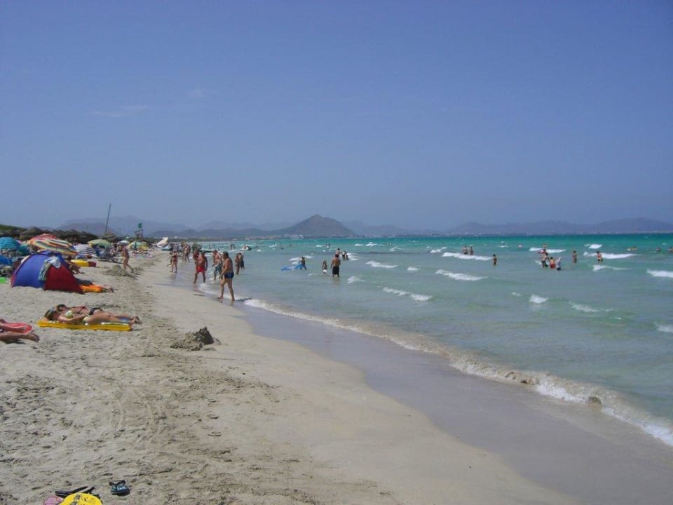 Blick Richtung Alcudia The Sea Hotel by Grupotel - Adults only