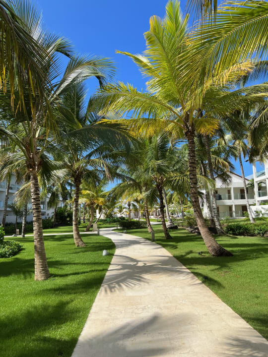 Gartenanlage Secrets La Romana Resort & Spa - Adult Only
