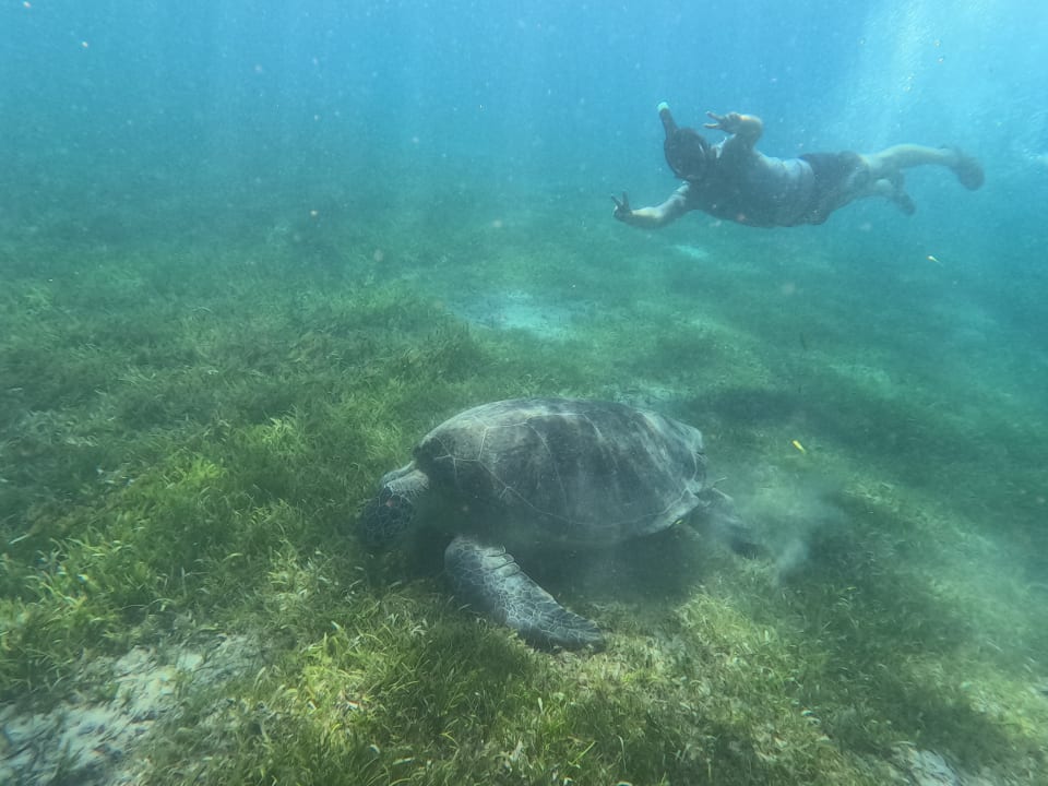 Strand Shams Prestige Abu Soma-Adults Only