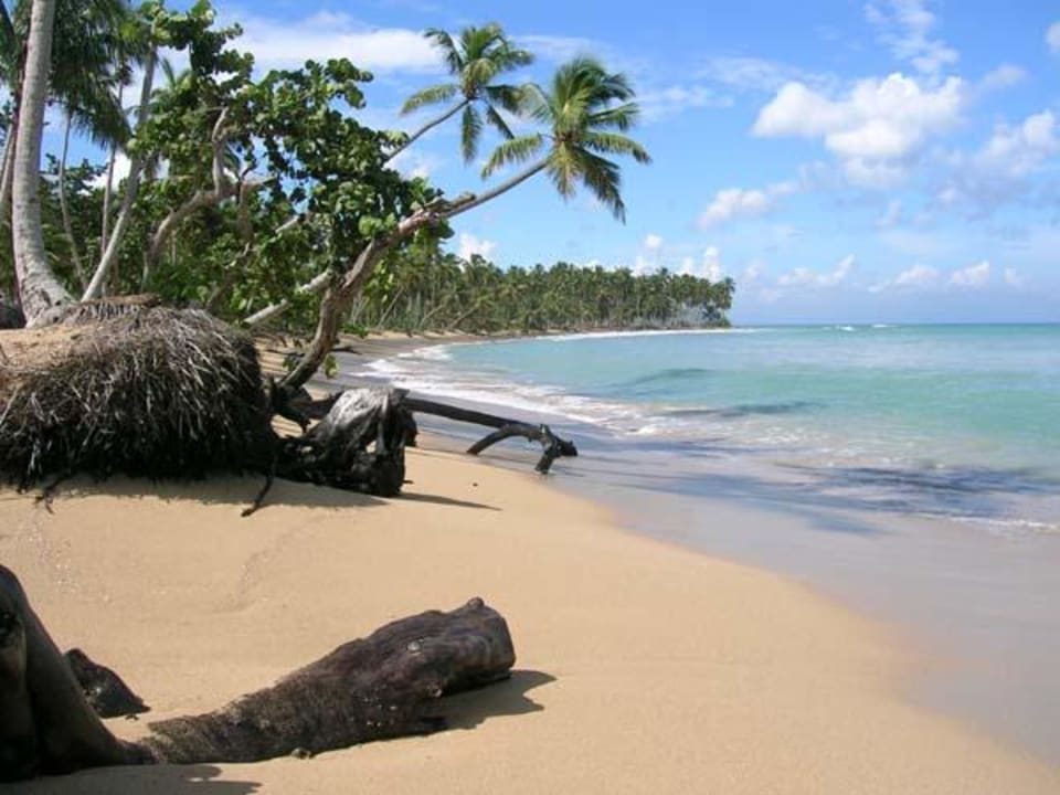 Traumstrand Viva V Samana by Wyndham – Adults Only