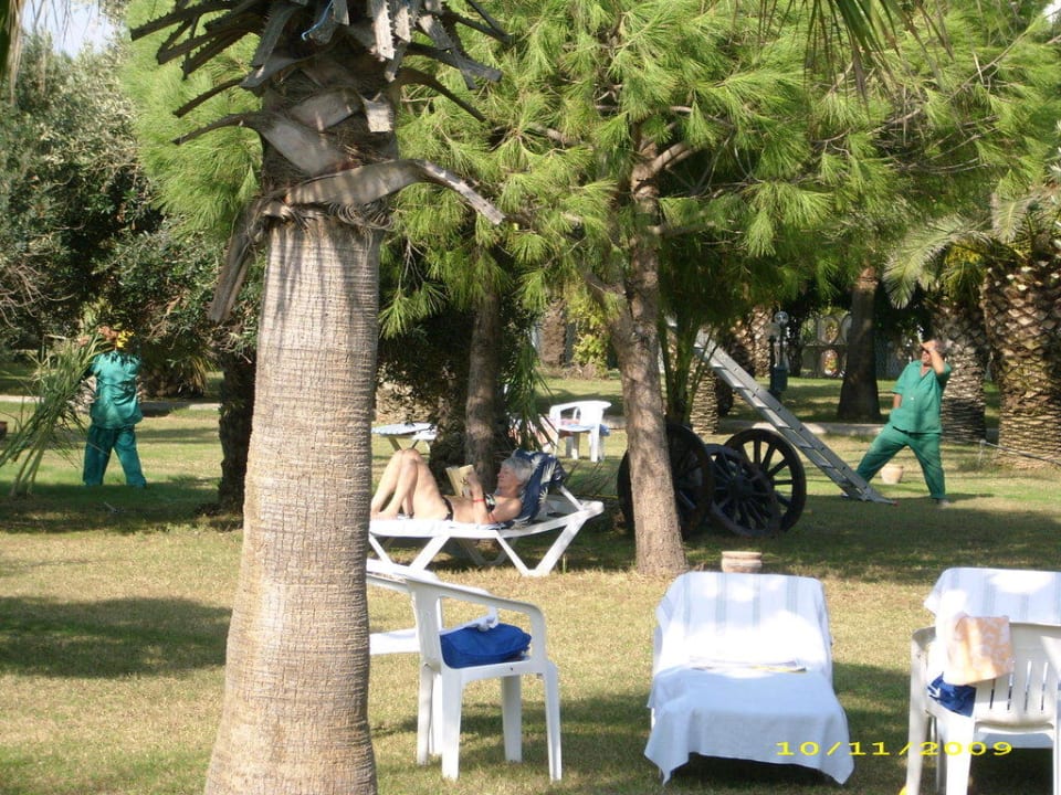 Relax und Arbeit unter Palmen Süral Saray Hotel