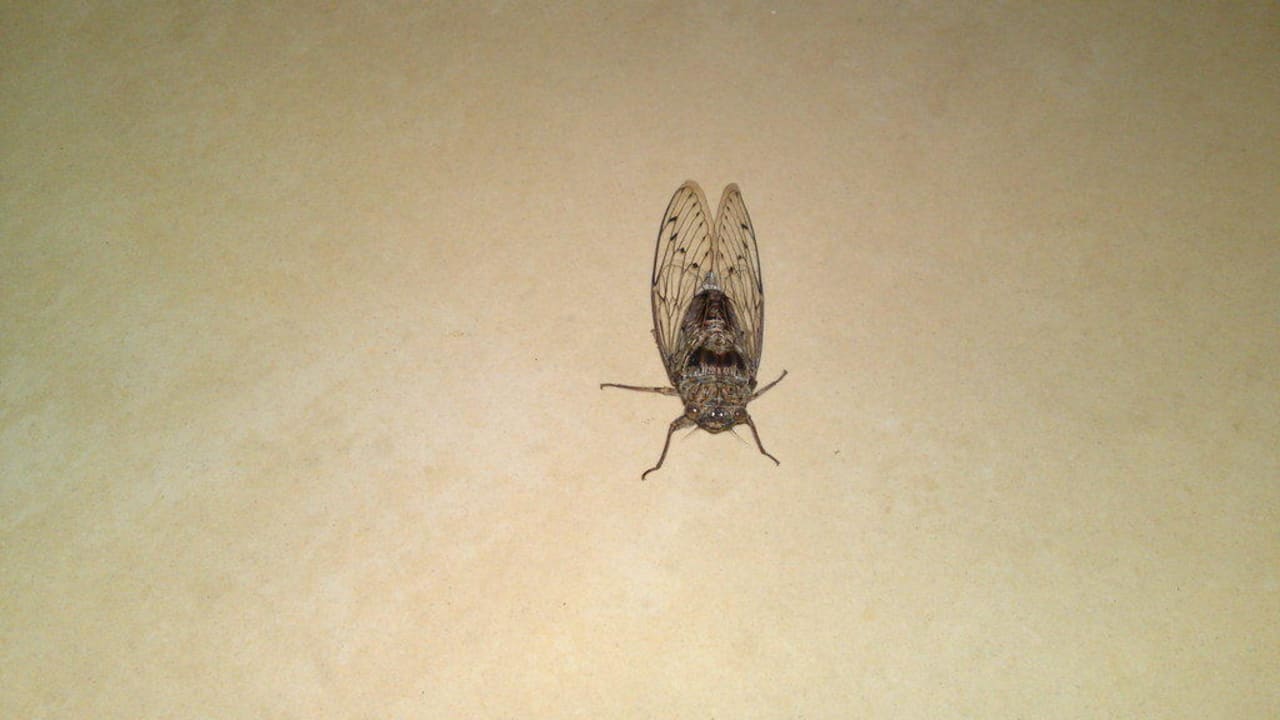 Kleiner Krachmacher den ganzen Tag HARPIN Georgioupolis Resort Aquapark & SPA