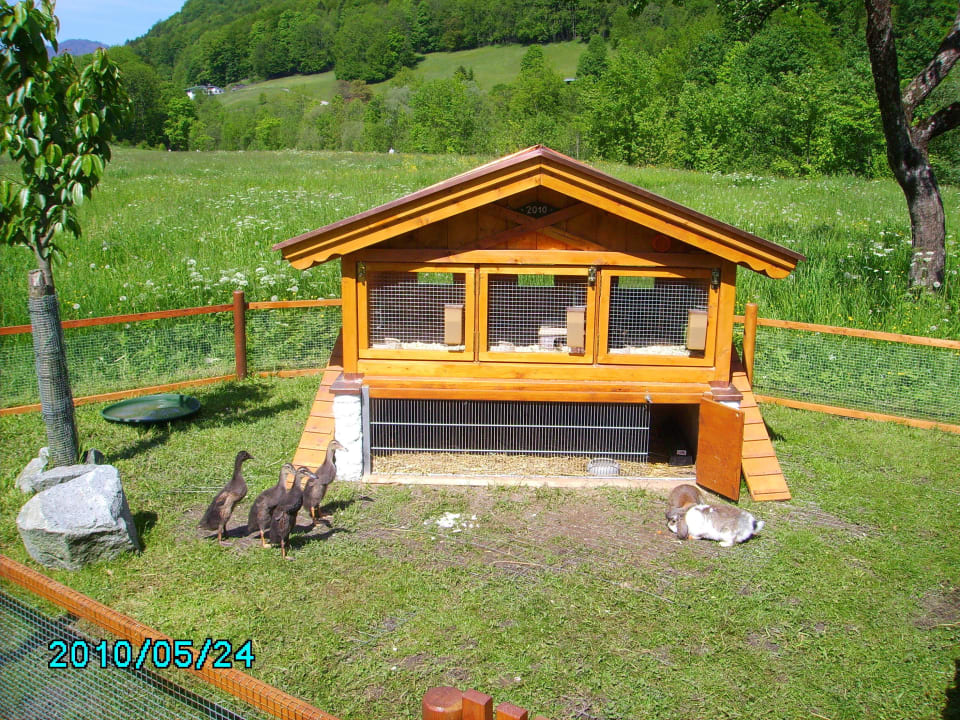 Streichelzoo Gästehaus Kilianmühle