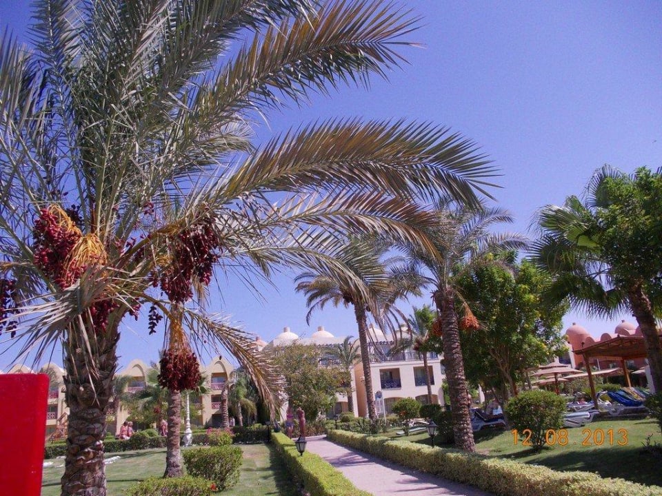 Spacer Titanic Beach Spa & Aqua Park