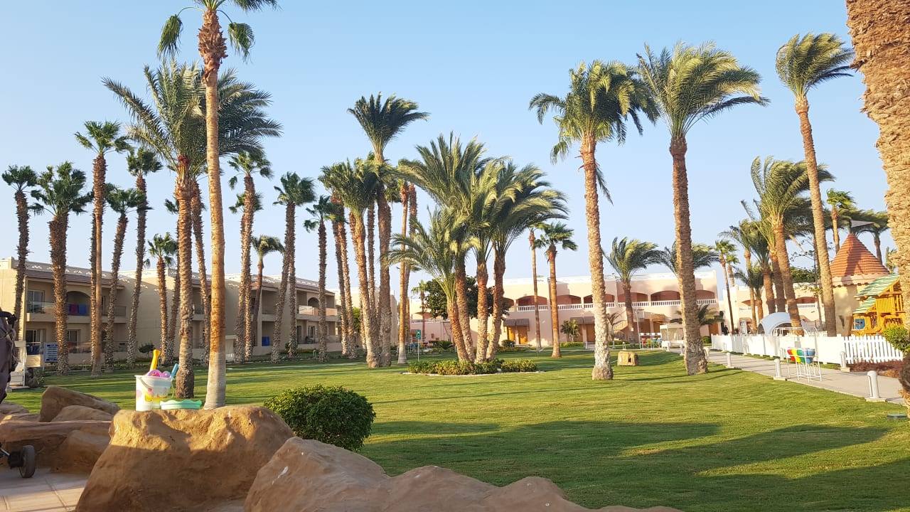 Gartenanlage Beach Albatros Resort