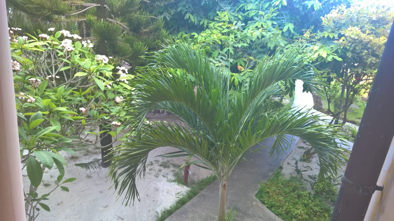 Gartenanlage Castello Beach Hotel