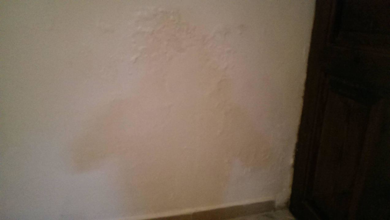 Durchfeuchtete Wand Hotel Golden Fox