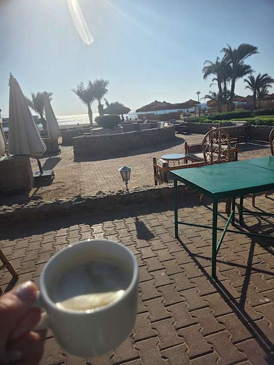 Gastro Menaville Safaga