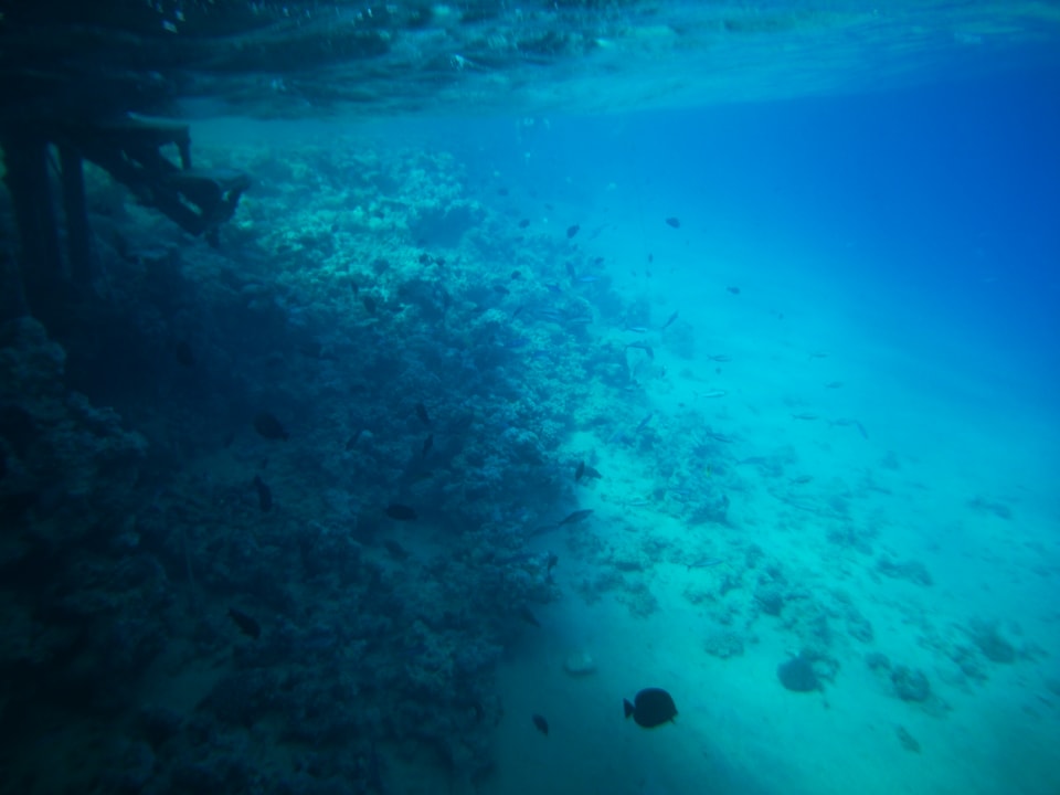 Sport & Freizeit Stella Beach Resort & Spa Makadi Bay