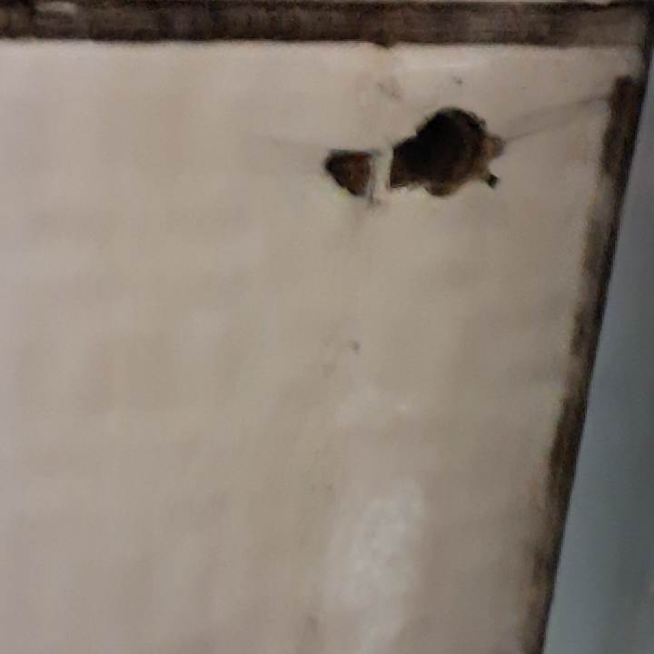 Sonstiges The Nix Hotel Kemer