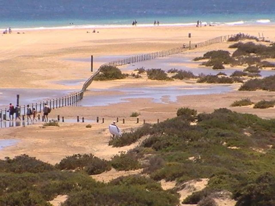 Strand beim Iberostar Palace Iberostar Selection Fuerteventura Palace