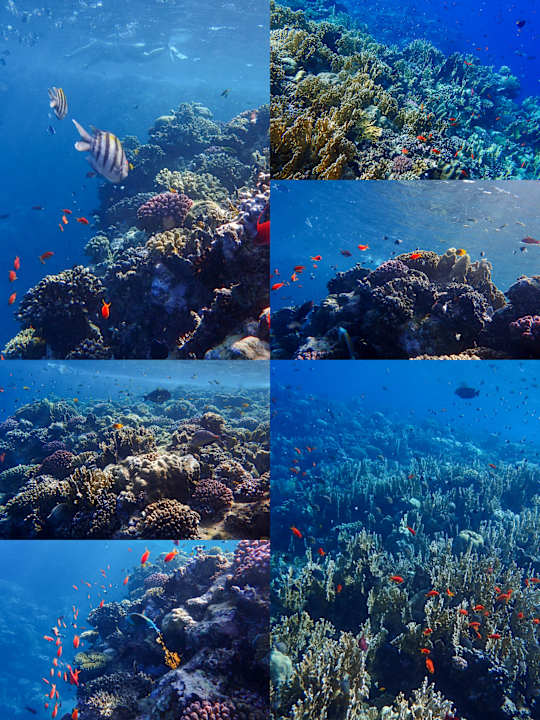 Strand Coral Sun Beach