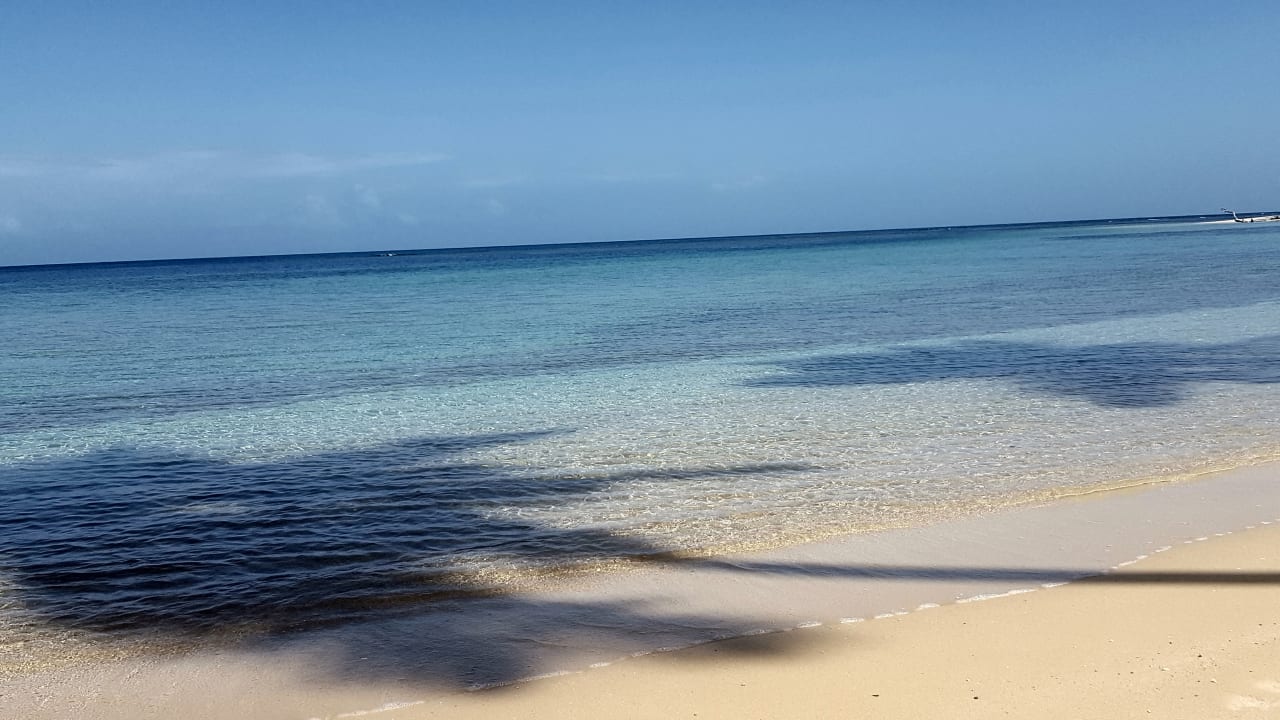 Strand Viva V Samana by Wyndham – Adults Only