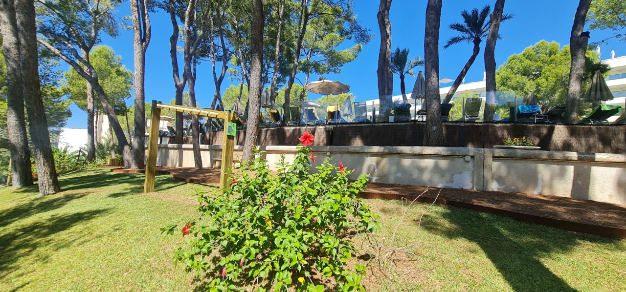 "Gartenanlage" allsun Hotel Bella Paguera (Peguera) • HolidayCheck