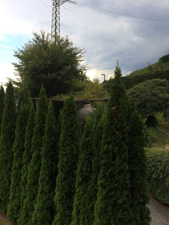 Gartenanlage Tischlerhof