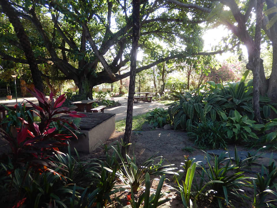 Gartenanlage Hotel Numbi The Main House