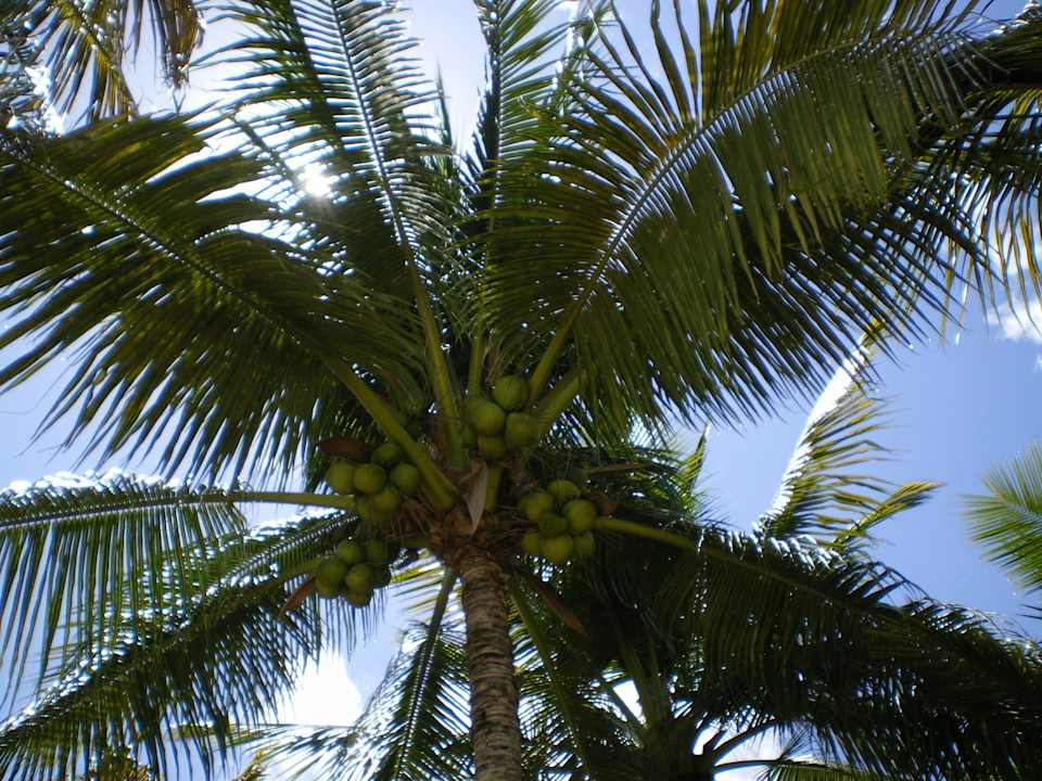 Öffentlicher Strand, Blick nach oben Privat-Apartment Schaller