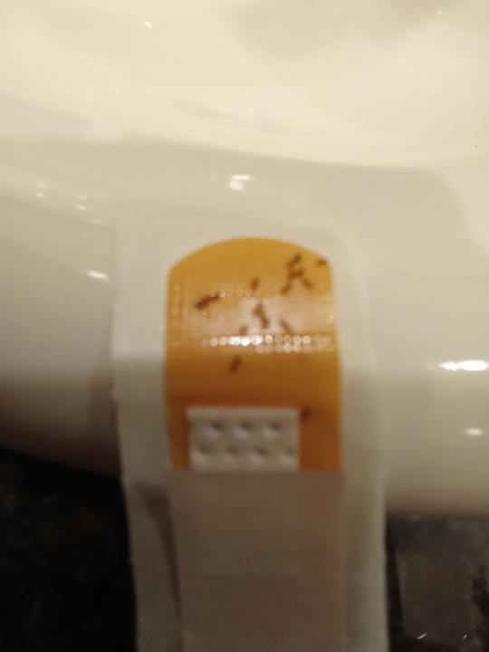 Zimmer Coral Hills Resorts & SPA