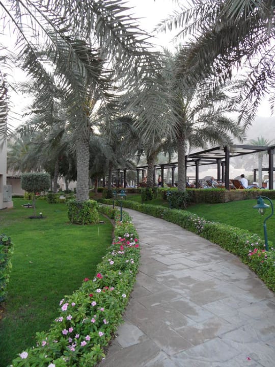 Alles sehr gepflegt Miramar Al Aqah Beach Resort