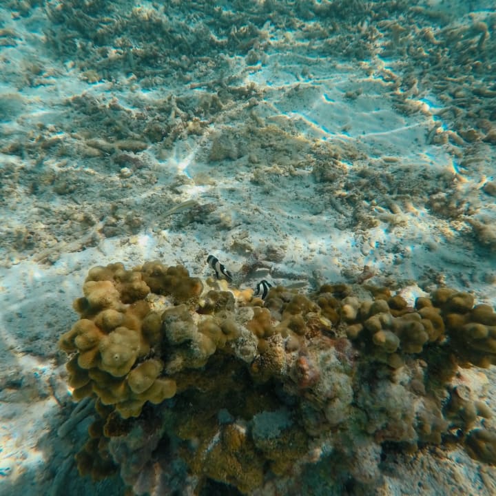 Sport & Freizeit Cinnamon Dhonveli Maldives