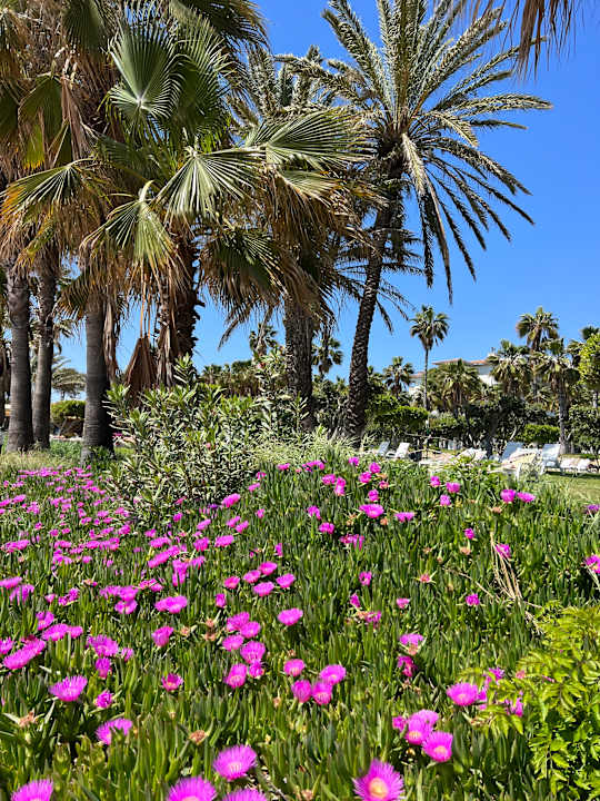 Gartenanlage Hotel Defne Garden