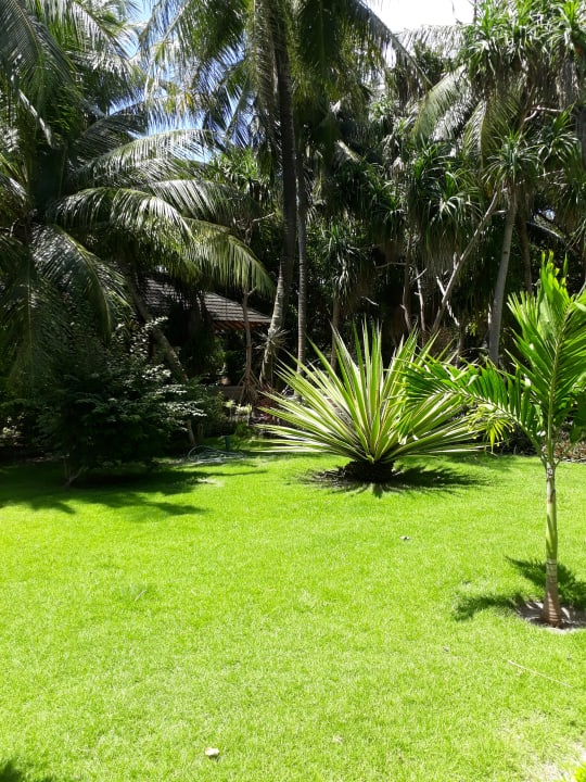 Gartenanlage Adaaran Select Meedhupparu Island Resort - Premium All Inclusive