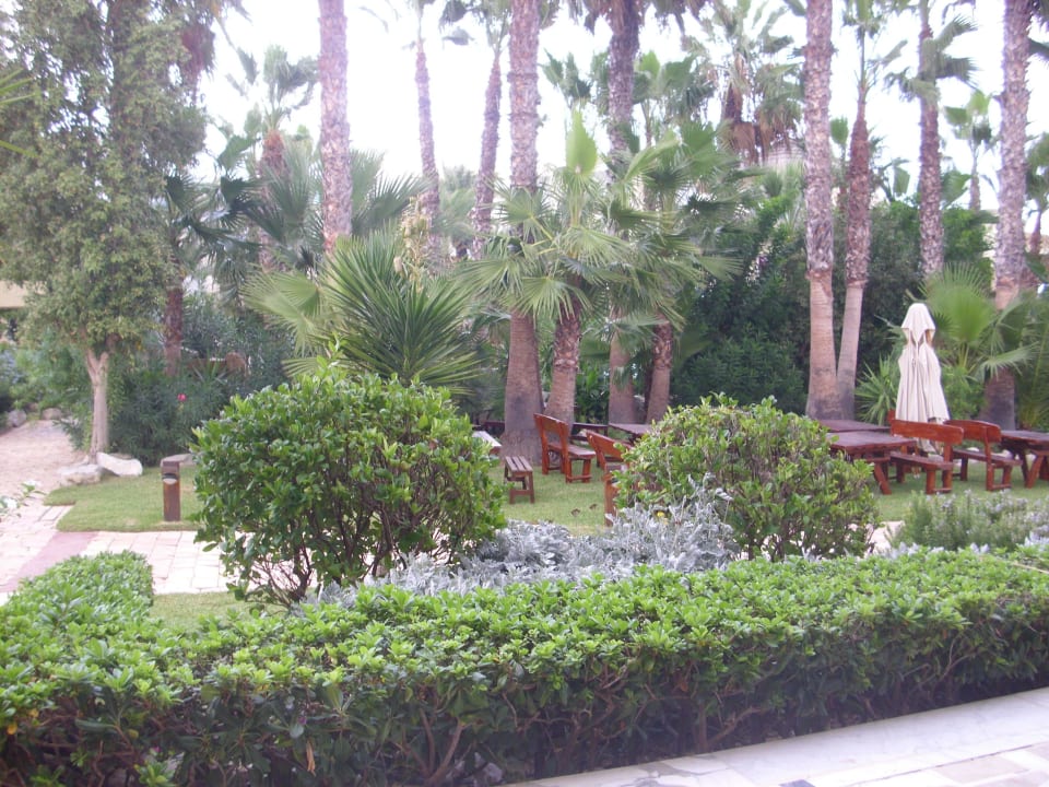 Terrasse der Snackbar TUI MAGIC LIFE Africana