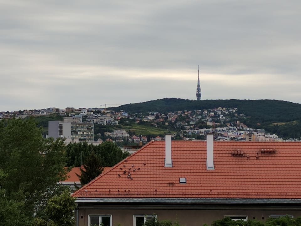 Ausblick Hotel Apollo
