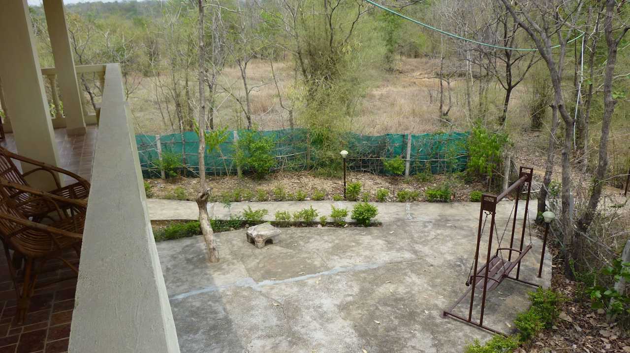 Blick in den Busch Tiger Trails Jungle  Lodge