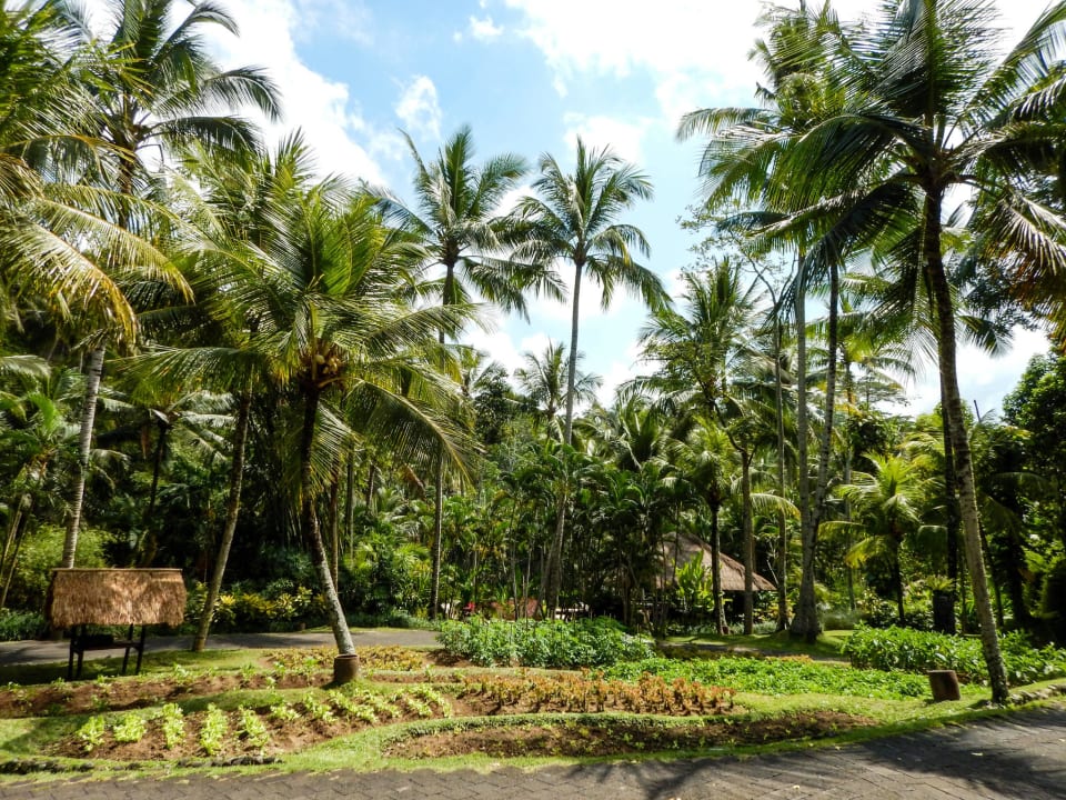 Gartenanlage Four Seasons Resort Bali at Sayan