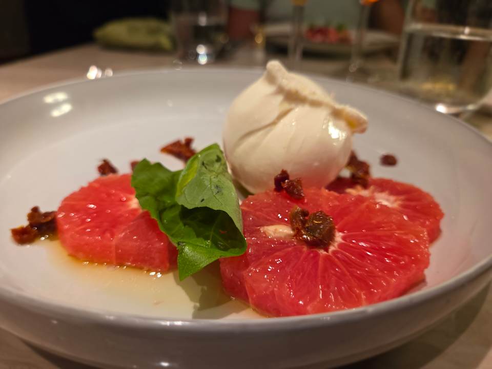 Gastro Acanthus Cennet Barut Collection