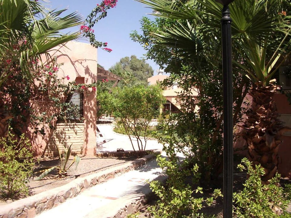 Garten Eagles Paradise Abu Soma