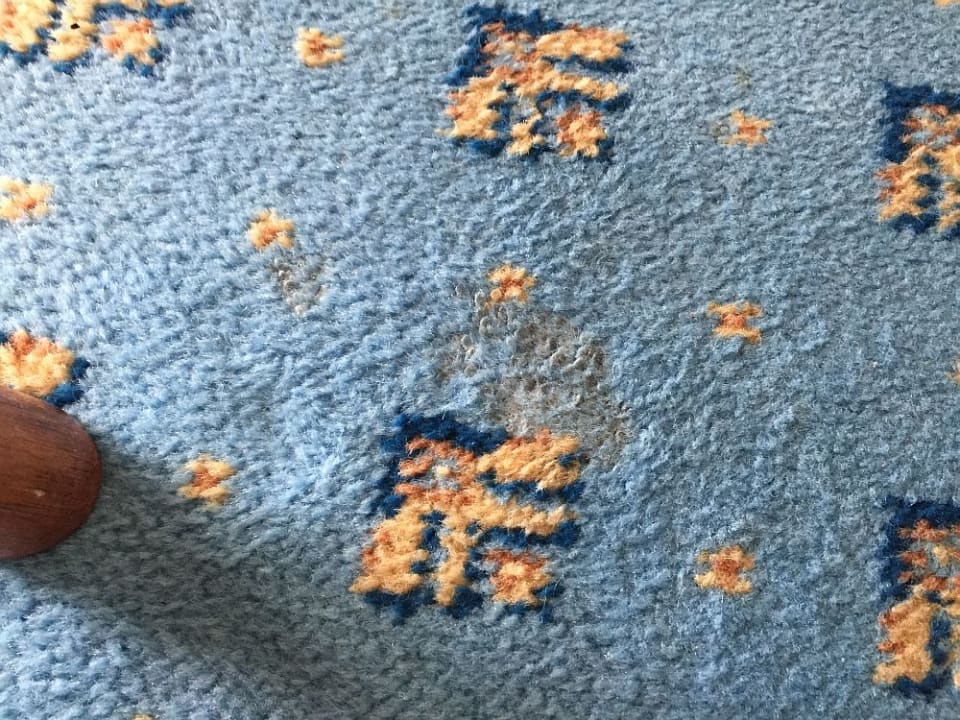 Zimmer Kleine Strandburg Zinnowitz