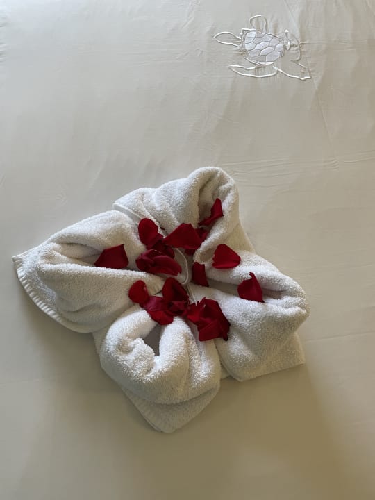 Zimmer Akumal Bay Beach & Wellness Resort