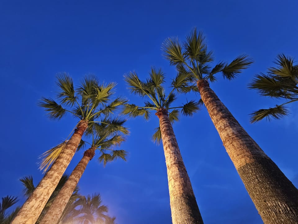 Gartenanlage Marinda Garden Aparthotel