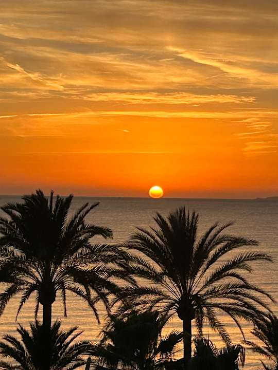 Zimmer Hotel Riu San Francisco - Adults only