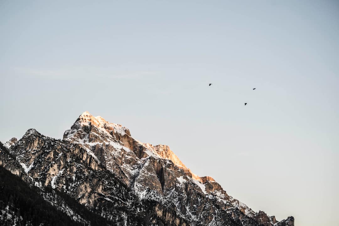 Ausblick Excelsior Dolomites Life Resort