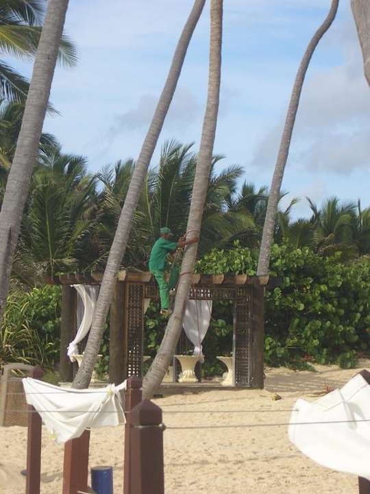 Jetzt geht es an die Nuss Punta Cana Princess All Suites Resort & Spa